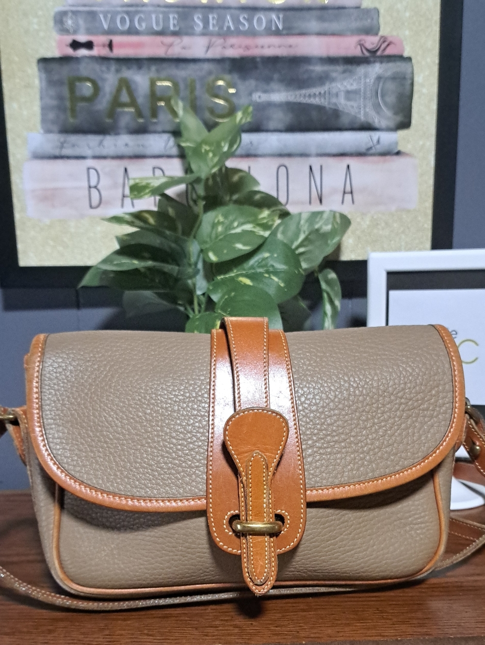 Vintage Dooney & Bourke